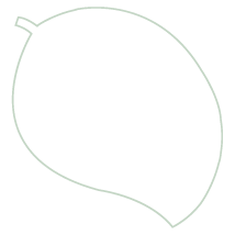 shape1