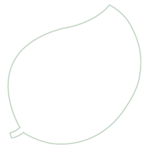 shape2
